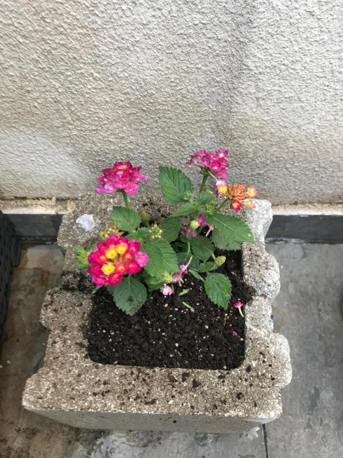 Apartment Betlemi تبليسي المظهر الخارجي الصورة